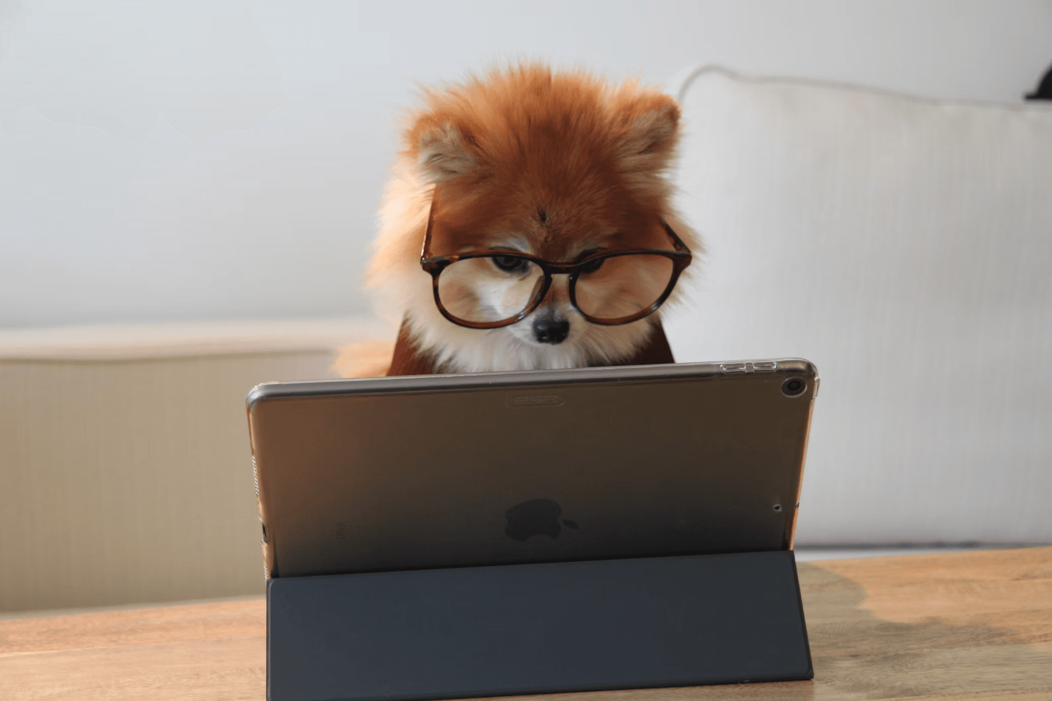 The Secret Weapon Behind My Best Year  as a Real Estate Agent