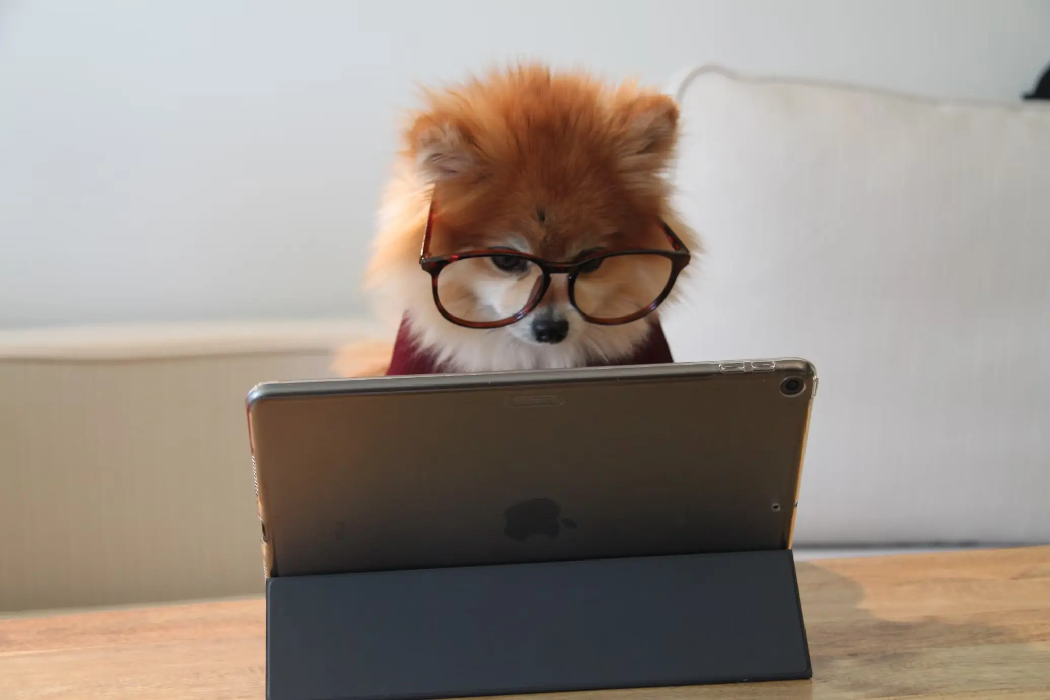 The Secret Weapon Behind My Best Year as a Real Estate Agent